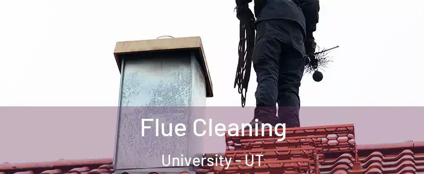 Flue Cleaning University - UT