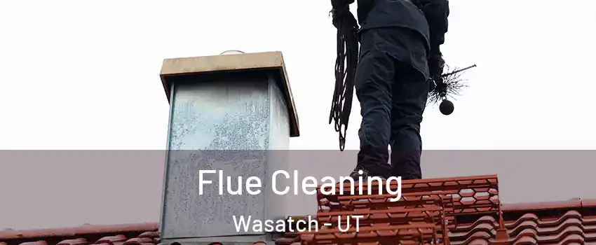 Flue Cleaning Wasatch - UT