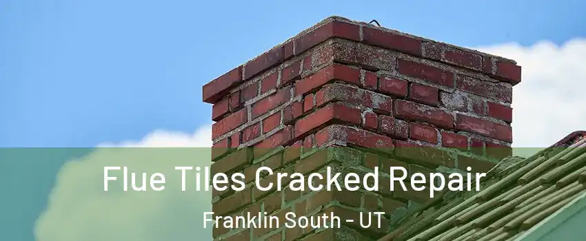 Flue Tiles Cracked Repair Franklin South - UT