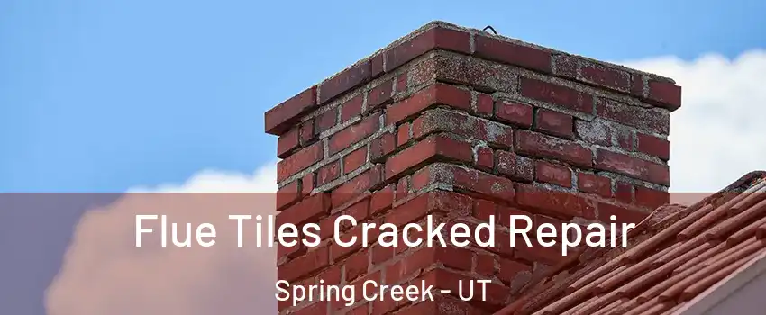Flue Tiles Cracked Repair Spring Creek - UT