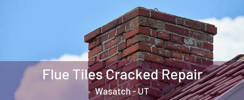 Flue Tiles Cracked Repair Wasatch - UT