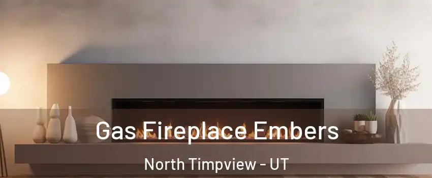 Gas Fireplace Embers North Timpview - UT