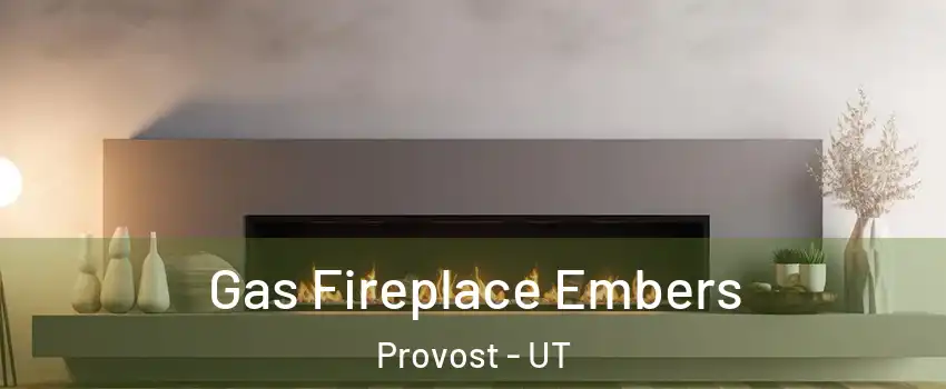Gas Fireplace Embers Provost - UT