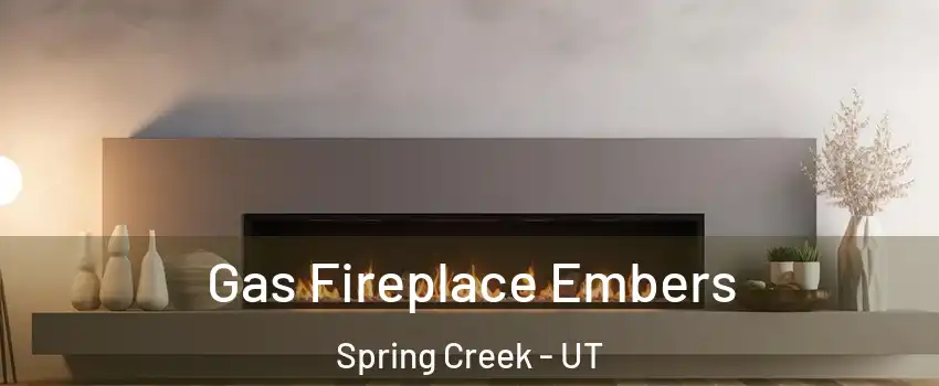Gas Fireplace Embers Spring Creek - UT