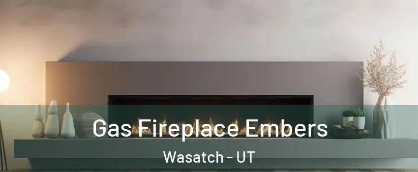 Gas Fireplace Embers Wasatch - UT