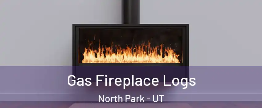 Gas Fireplace Logs North Park - UT
