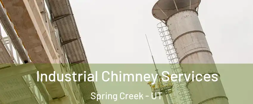 Industrial Chimney Services Spring Creek - UT
