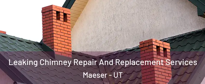 Leaking Chimney Repair And Replacement Services Maeser - UT
