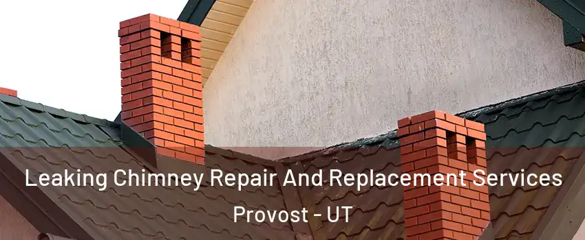 Leaking Chimney Repair And Replacement Services Provost - UT