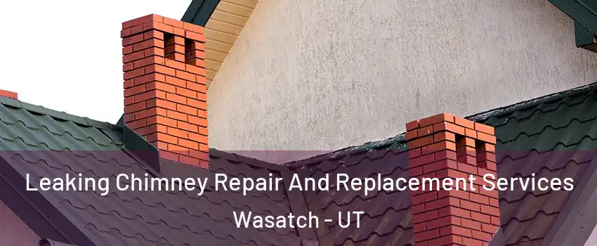 Leaking Chimney Repair And Replacement Services Wasatch - UT
