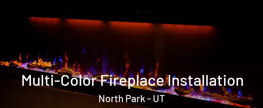 Multi-Color Fireplace Installation North Park - UT