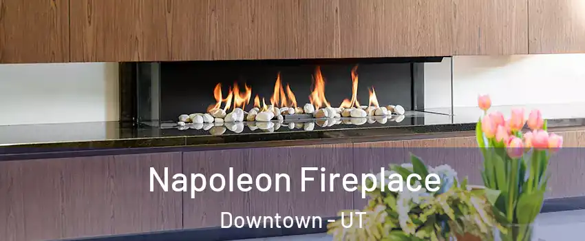 Napoleon Fireplace Downtown - UT