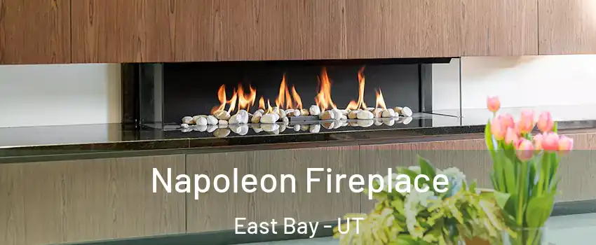 Napoleon Fireplace East Bay - UT