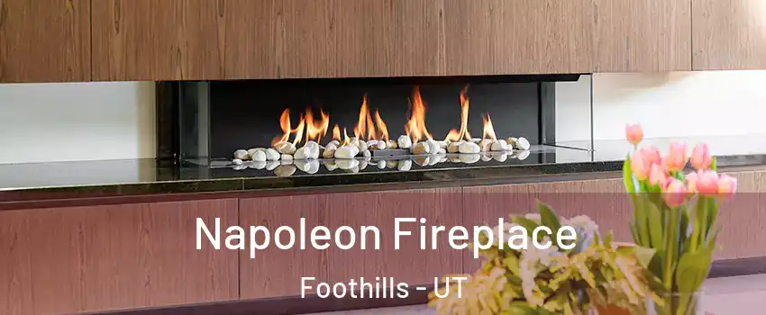 Napoleon Fireplace Foothills - UT