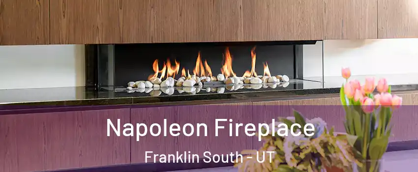Napoleon Fireplace Franklin South - UT