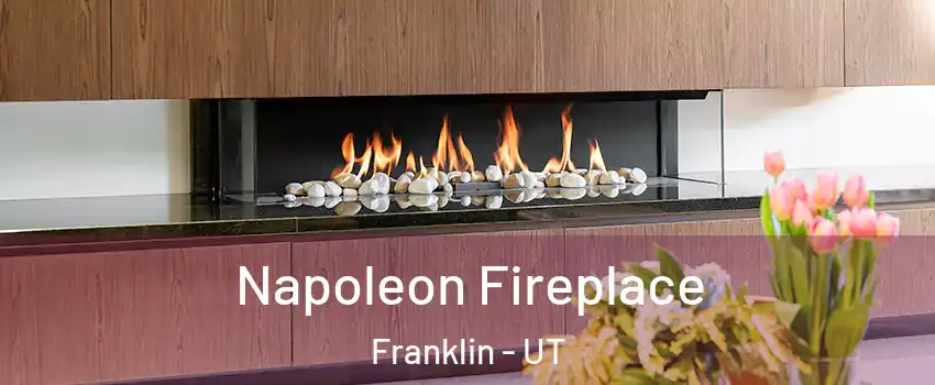 Napoleon Fireplace Franklin - UT