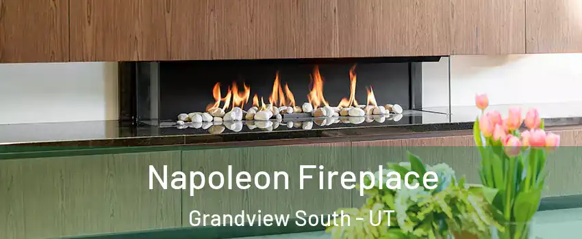 Napoleon Fireplace Grandview South - UT