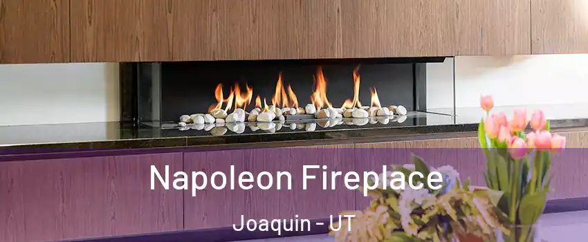 Napoleon Fireplace Joaquin - UT