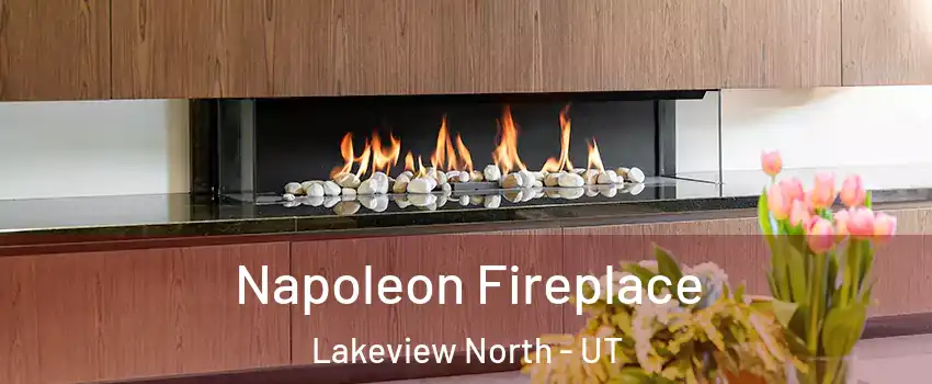 Napoleon Fireplace Lakeview North - UT