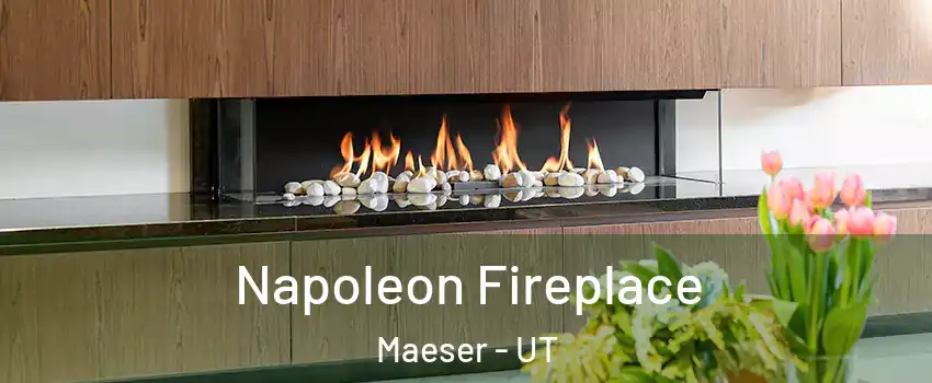 Napoleon Fireplace Maeser - UT