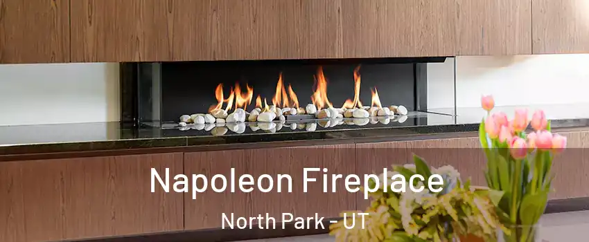 Napoleon Fireplace North Park - UT