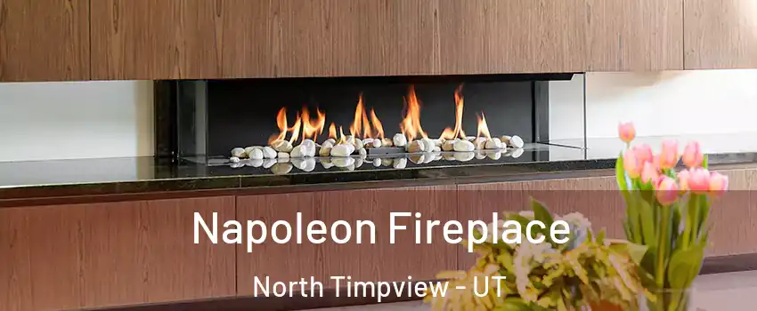 Napoleon Fireplace North Timpview - UT