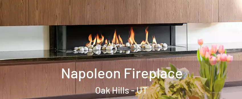 Napoleon Fireplace Oak Hills - UT