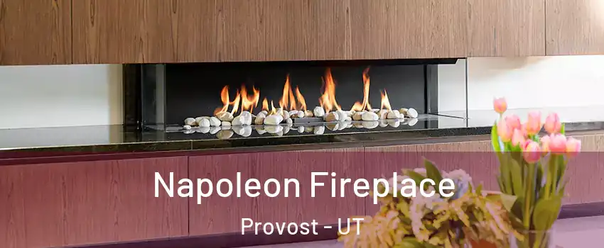 Napoleon Fireplace Provost - UT
