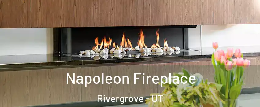 Napoleon Fireplace Rivergrove - UT