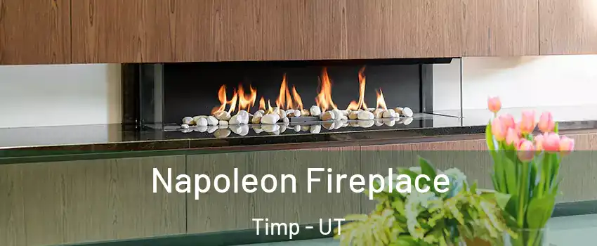 Napoleon Fireplace Timp - UT