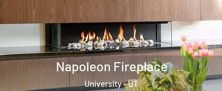 Napoleon Fireplace University - UT