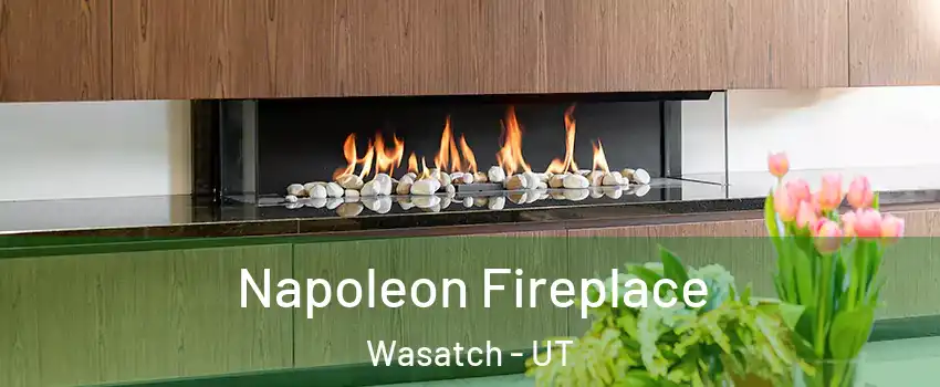 Napoleon Fireplace Wasatch - UT