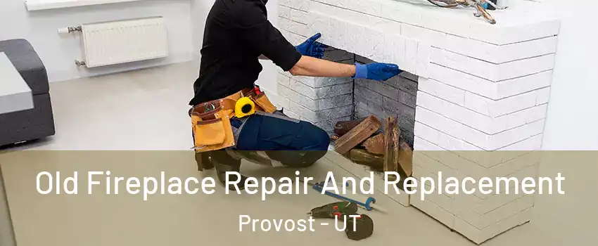 Old Fireplace Repair And Replacement Provost - UT