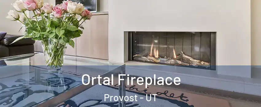 Ortal Fireplace Provost - UT