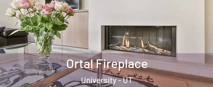 Ortal Fireplace University - UT