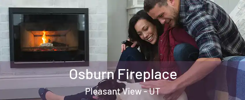 Osburn Fireplace Pleasant View - UT