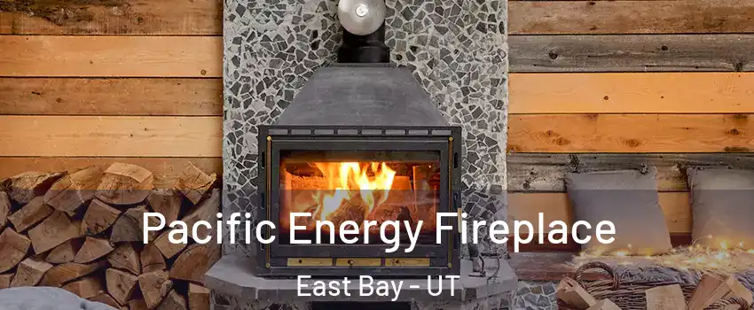 Pacific Energy Fireplace East Bay - UT
