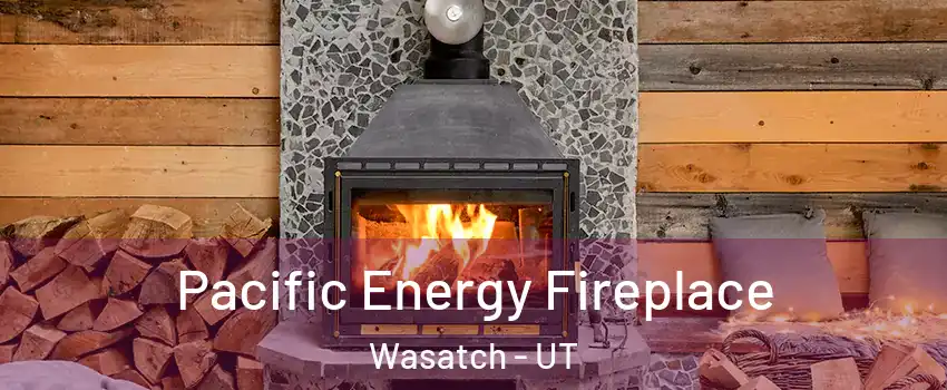 Pacific Energy Fireplace Wasatch - UT