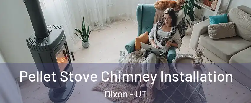 Pellet Stove Chimney Installation Dixon - UT