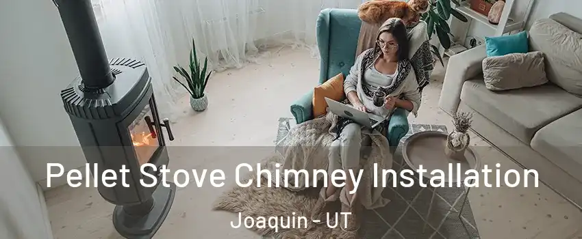 Pellet Stove Chimney Installation Joaquin - UT