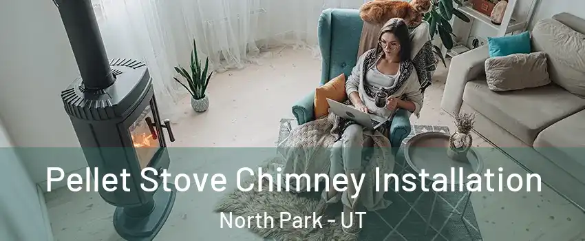 Pellet Stove Chimney Installation North Park - UT
