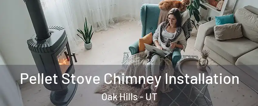 Pellet Stove Chimney Installation Oak Hills - UT