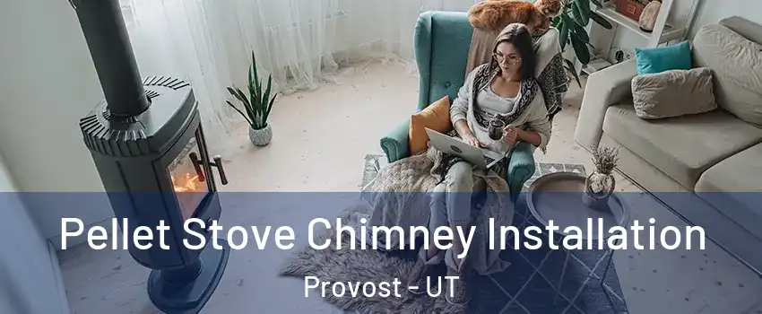 Pellet Stove Chimney Installation Provost - UT