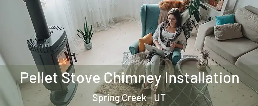 Pellet Stove Chimney Installation Spring Creek - UT