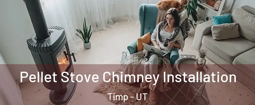 Pellet Stove Chimney Installation Timp - UT