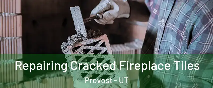 Repairing Cracked Fireplace Tiles Provost - UT