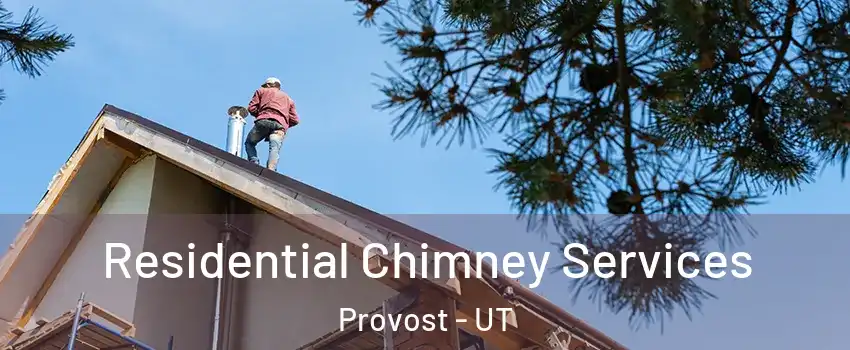 Residential Chimney Services Provost - UT