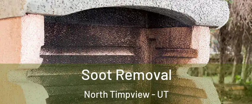 Soot Removal North Timpview - UT