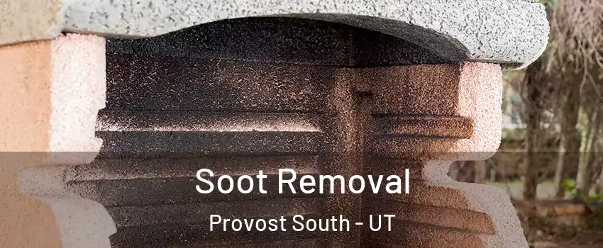 Soot Removal Provost South - UT