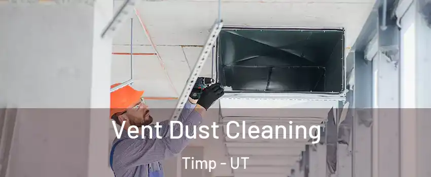 Vent Dust Cleaning Timp - UT
